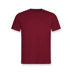 Hummingbird printed t-shirt