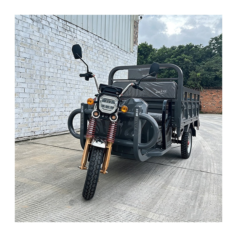 Triciclo eléctrico carga Xuzhou 3 ruedas
