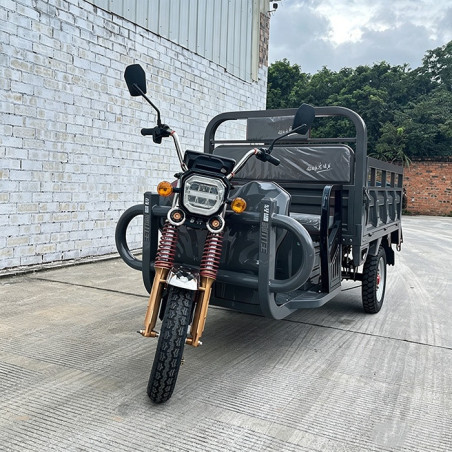 Triciclo eléctrico carga Xuzhou 3 ruedas