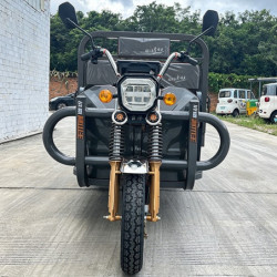 Triciclo eléctrico carga Xuzhou 3 ruedas