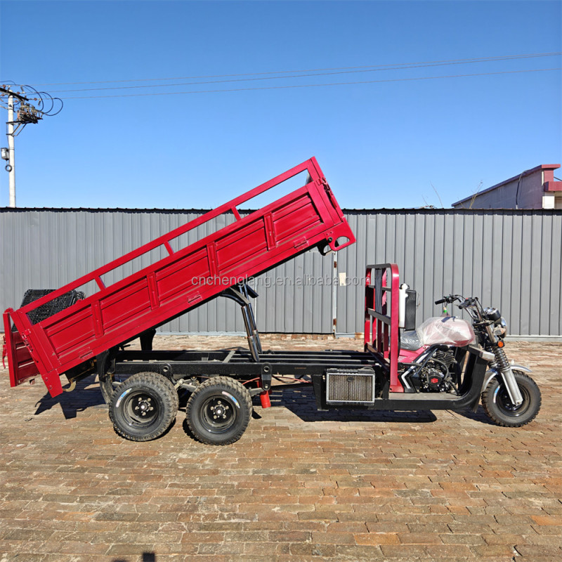 Triciclo 9 ruedas 350cc carga pesada